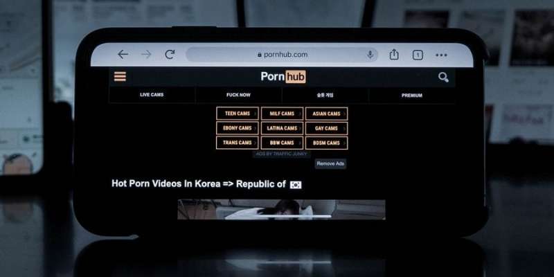 Податкова в Україні оштрафувала PornHub