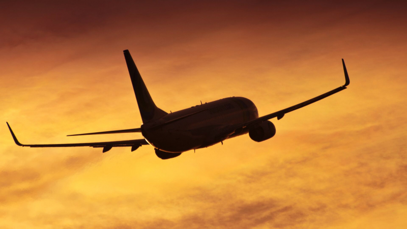 В Южной Корее проверят все Boeing 737-800 после крушения в Муане